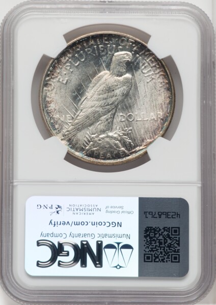 1923-D S$1 65 NGC