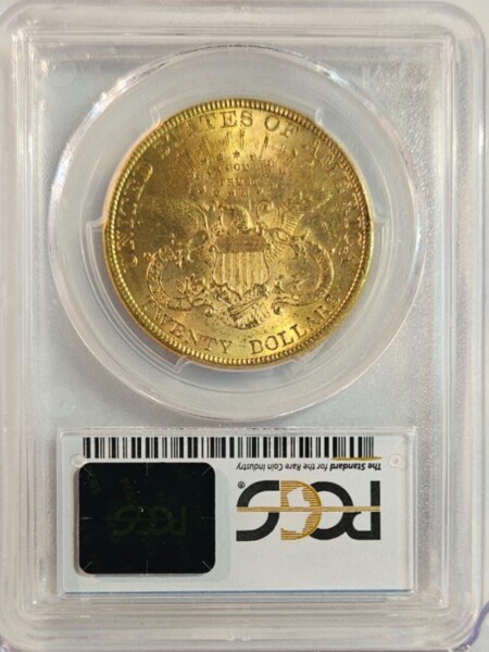 1878 $20 62 DDR PCGS Secure