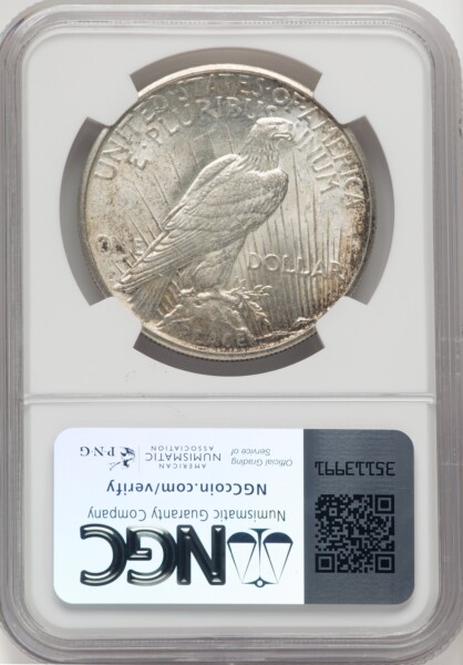 1924-S S$1 63 NGC