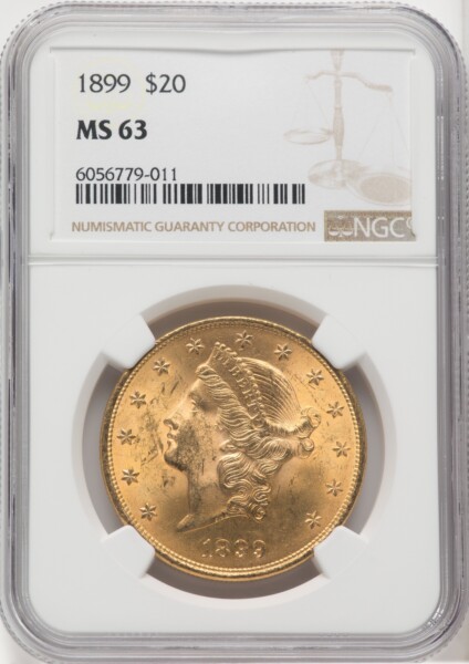 1899 $20 63 NGC