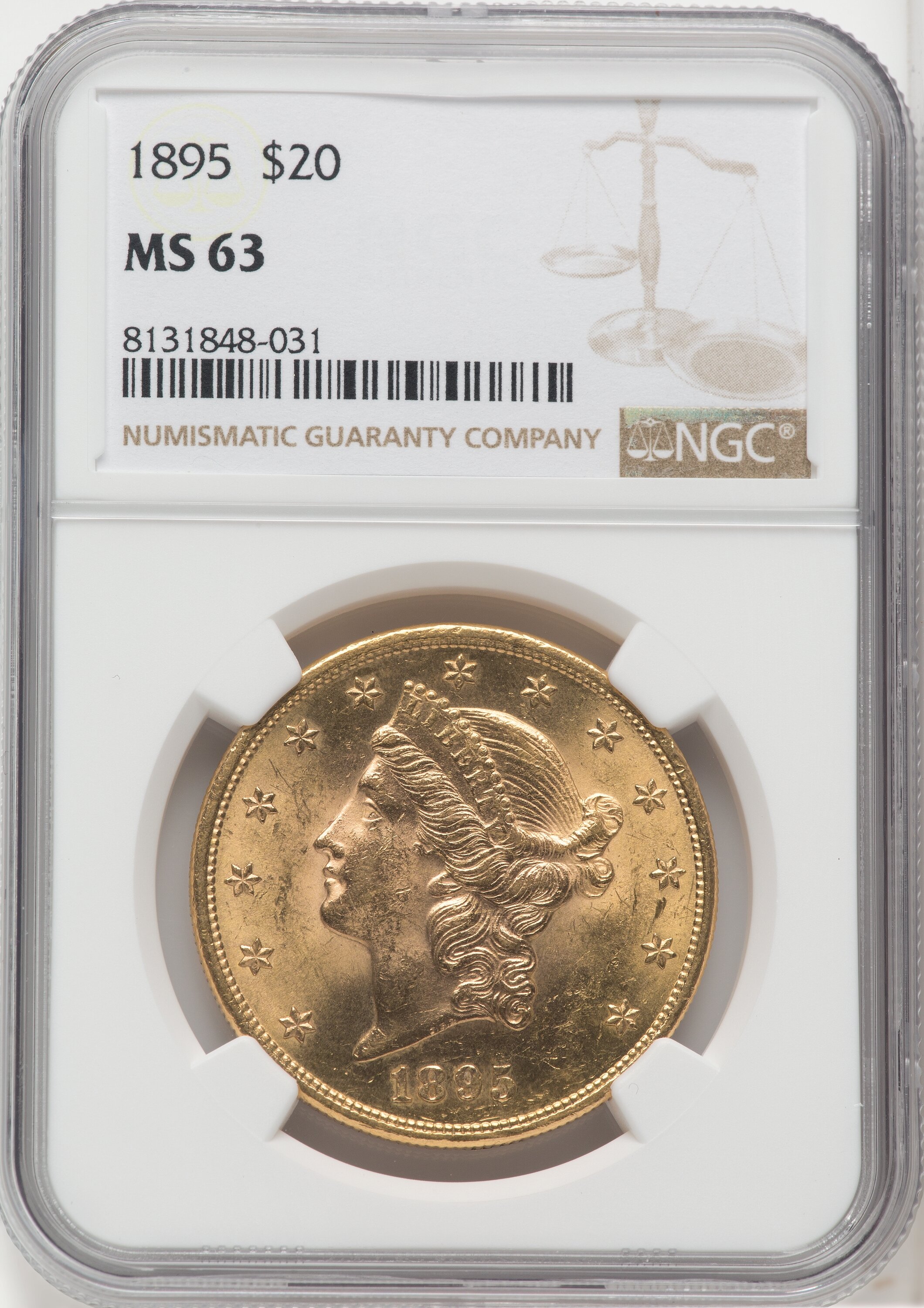 1895 $20 63 NGC