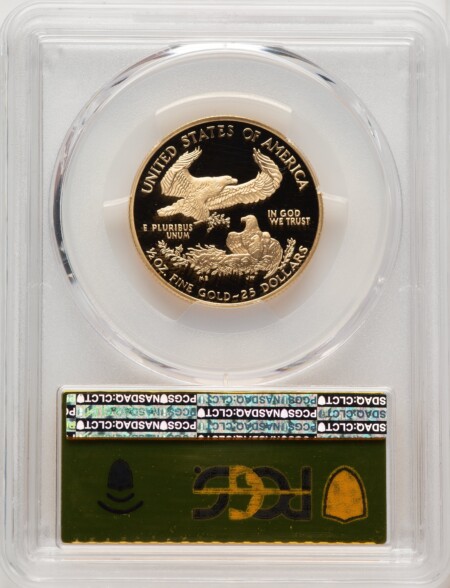 2003-W $25 Half-Ounce Gold Eagle, DC Gold Foil 70 PCGS