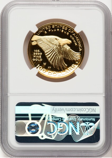 2017-W G$100 American Liberty High Relief, DC Mike Castle 70 NGC