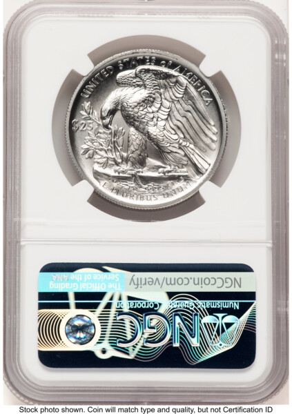 2020-W Palladium Eagle 1 oz Burnished ER Brown Label 70 NGC