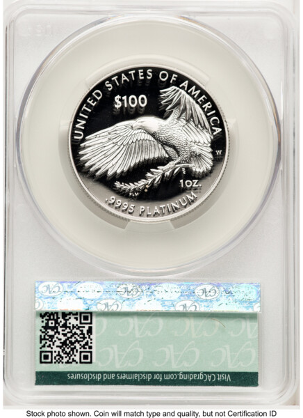 2019-W Proof Platinum Eagle 1 oz First Day Of Delivery 70 CACG
