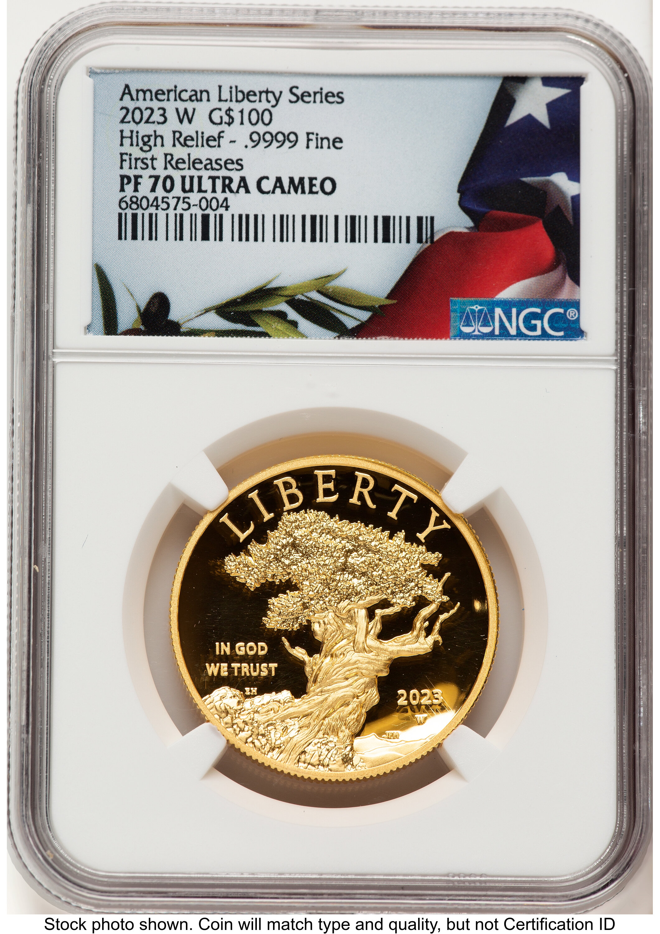 2023-W G$100 American Liberty High Relief, DC FR Bunting Flag 70 NGC