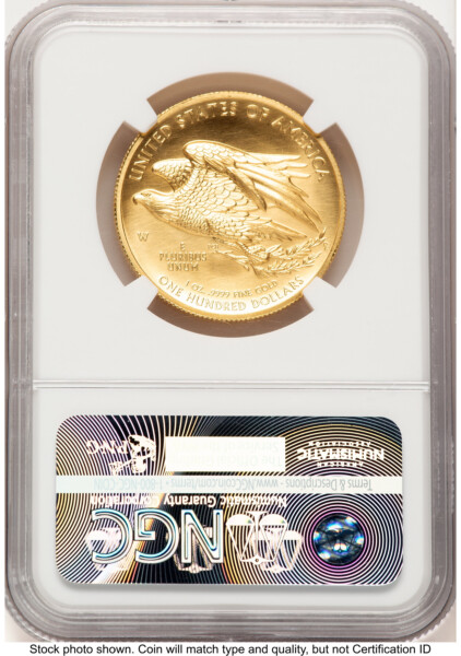 2015-W G$100 American Liberty High Relief ER Elizabeth Jones 70 NGC