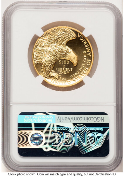 2019-W G$100 American Liberty High Relief, Enhanced Mike Castle 70 NGC