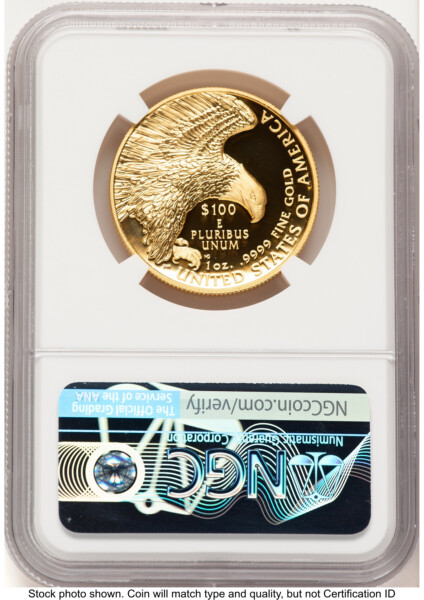 2019-W G$100 American Liberty High Relief, Enhanced, UC FDI Mike Castle 70 NGC