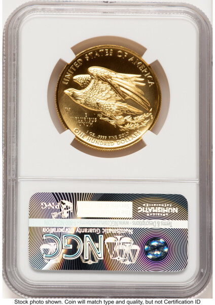 2015-W G$100 American Liberty High Relief ER Angela Buchanan 70 NGC