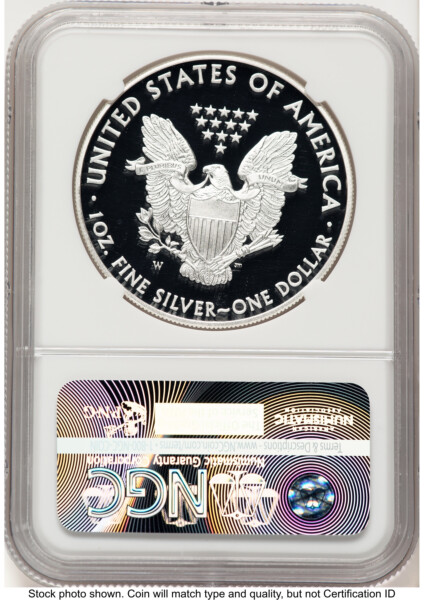 2015-W Proof Silver Eagle 1 oz Brown Label 70 NGC