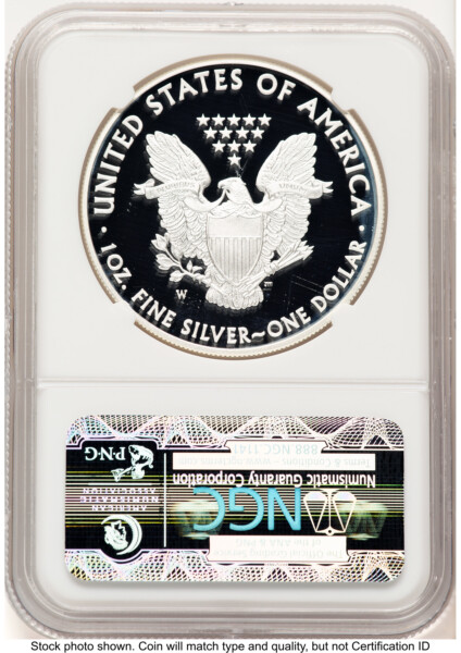 2013-W Proof Silver Eagle 1 oz ER Blue 70 NGC