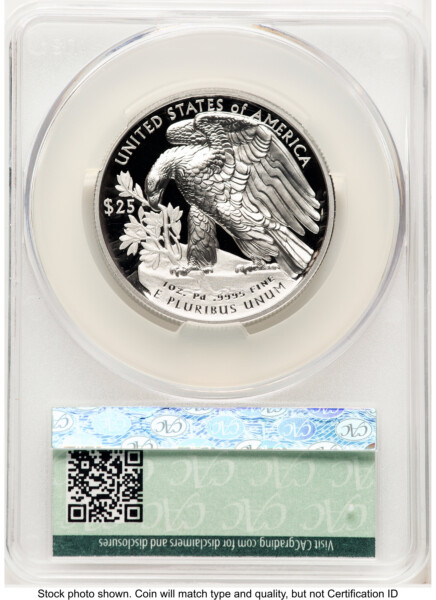 2024-W Palladium Eagle 1 oz, PR Advanced Delivery Ron Drzewucki 70 CACG