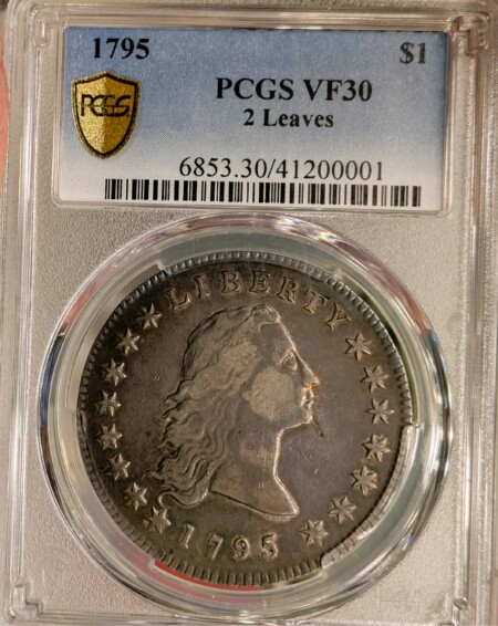 1795 $1 Flowing Hair, 2 Leaves VF30 PCGS Secure