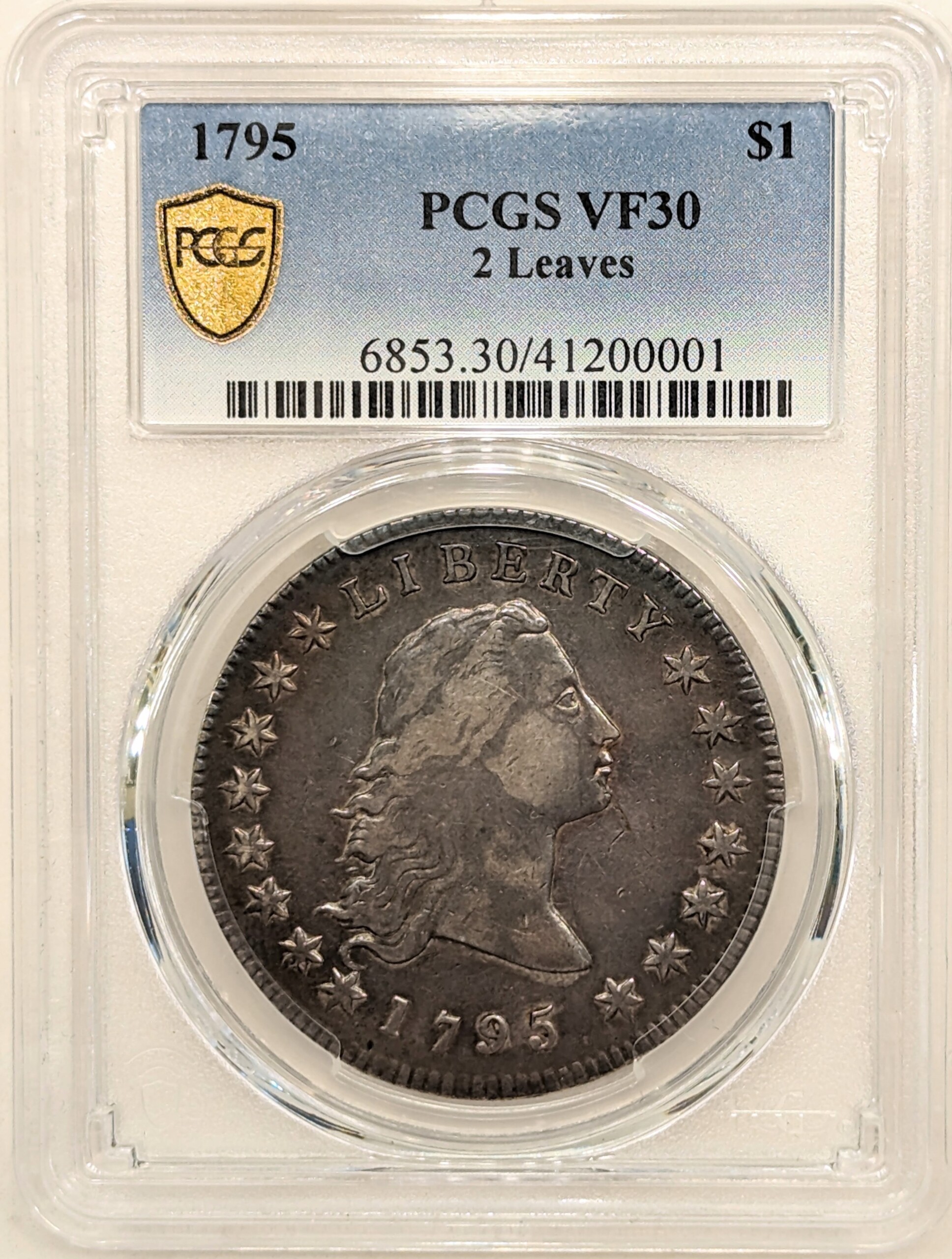 1795 $1 Flowing Hair, 2 Leaves VF30 PCGS Secure