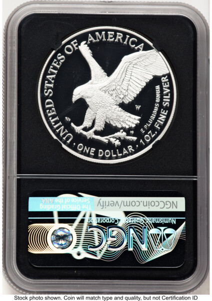 2021-W TY2 Proof Silver Eagle 1 oz FDI Michael Gaudioso Eagle Flag Blk Core 70 NGC