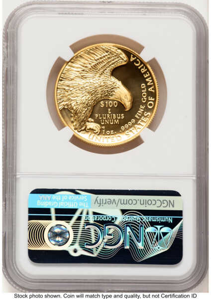 2019-W G$100 American Liberty High Relief, Enhanced FDI Mike Castle 70 NGC