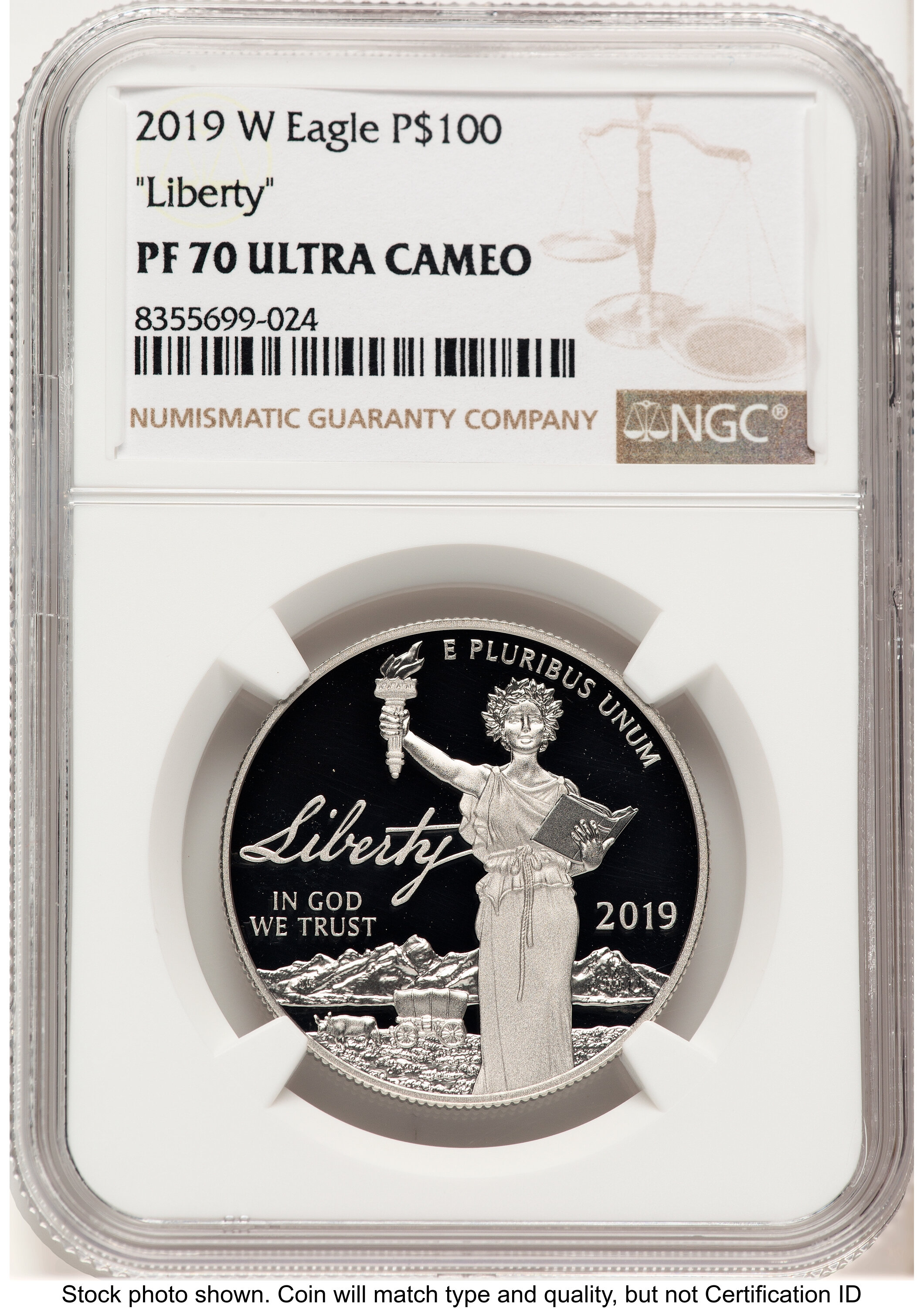 2019-W Proof Platinum Eagle 1 oz Brown Label 70 NGC