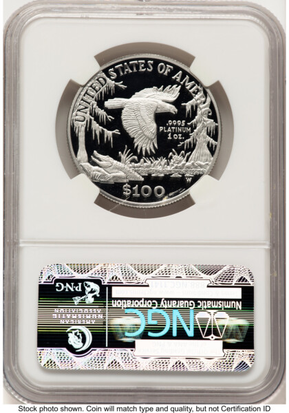 1999-W Proof Platinum Eagle 1 oz Brown Label 70 NGC