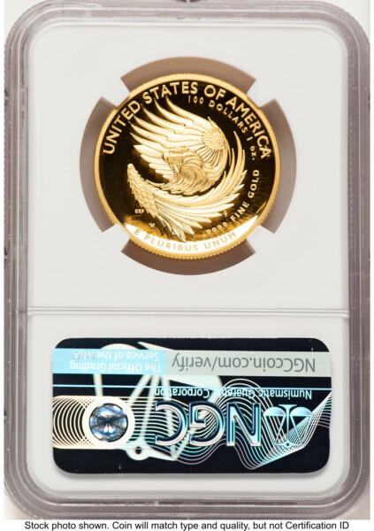 2025-W G$100 American Liberty High Relief, DC Bunting Flag 70 NGC