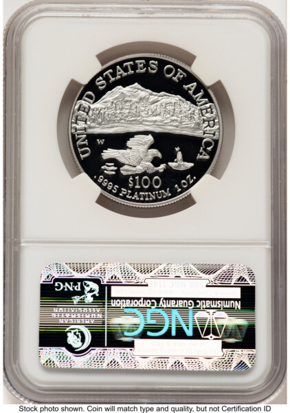 2002-W Proof Platinum Eagle 1 oz Brown Label 70 NGC