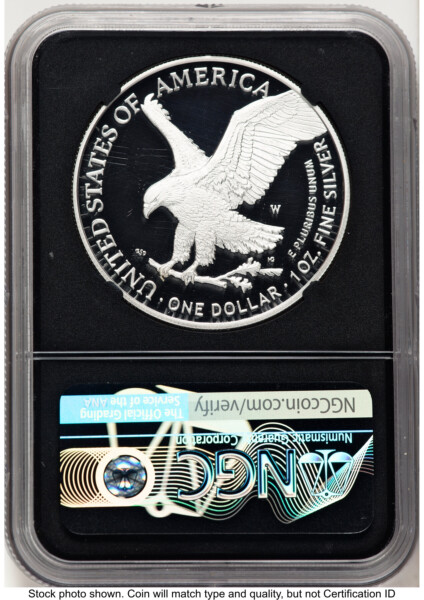 2021-W TY2 Proof Silver Eagle 1 oz FDI Michael Gaudioso Blk Core 70 NGC