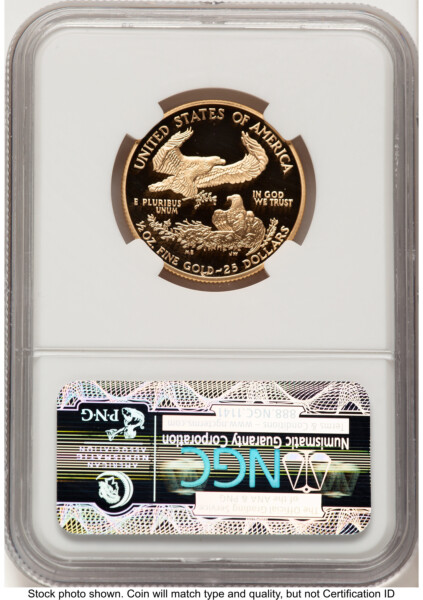 2004-W Proof Gold Eagle 1/2 oz Brown Label 70 NGC