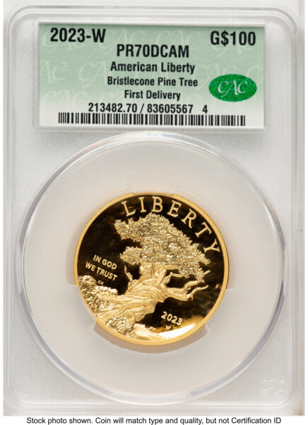 2023-W G$100 American Liberty High Relief, DC First Delivery 70 CACG