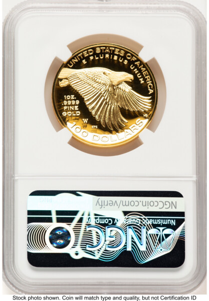 2017-W G$100 American Liberty High Relief, DC Brown Label 70 NGC
