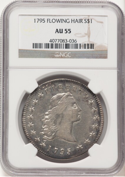 1795 S$1 Flowing Hair, Three Leaves 55 NGC