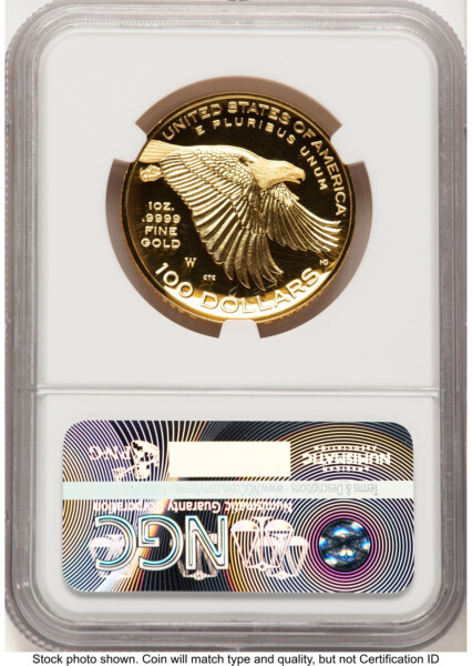 2017-W G$100 American Liberty High Relief, DC FDI 225th Anniversary Label 70 NGC