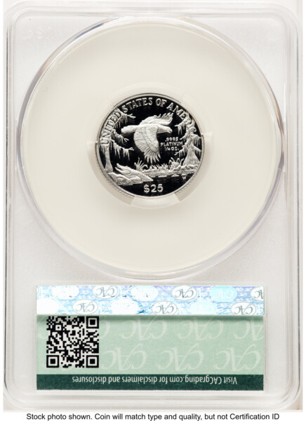 1999-W Proof Platinum Eagle 1/4 oz Non Designation 70 CACG