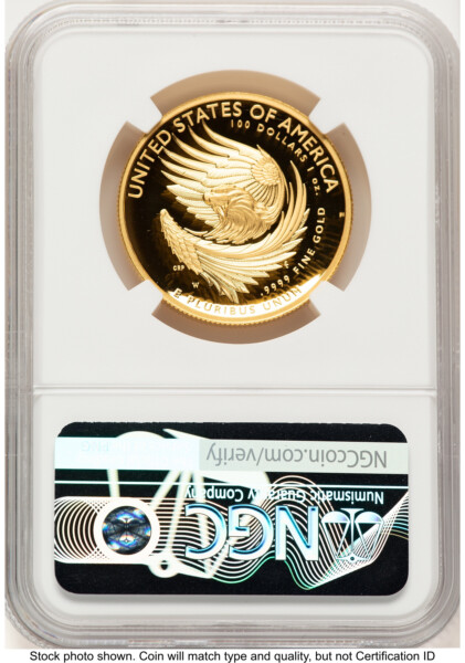 2025-W G$100 American Liberty High Relief, DC FDI Bunting Flag 70 NGC