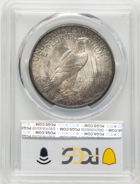 1921 S$1 Peace, MS PCGS Secure 64 PCGS