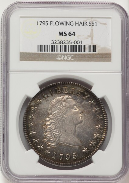 1795 S$1 Flowing Hair, Three Leaves 64 NGC