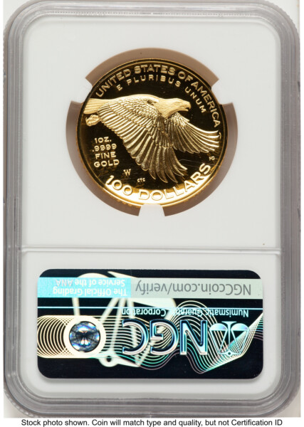 2017-W G$100 American Liberty High Relief, DC Bunting Flag 70 NGC