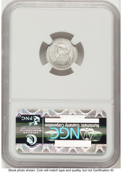 2007-W Burnished Platinum Eagle 1/10 oz Brown Label 70 NGC