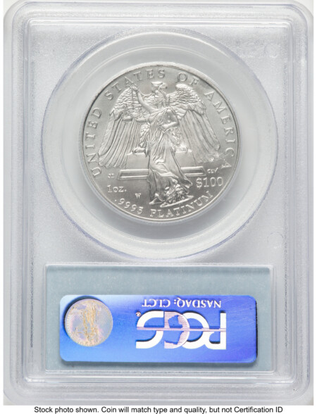 2008-W Burnished Platinum Eagle 1 oz Blue Label 70 PCGS