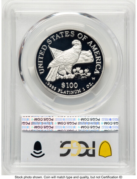 2003-W Proof Platinum Eagle 1 oz Blue Gradient 70 PCGS