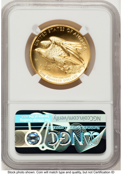 2015-W G$100 American Liberty High Relief ER Mike Castle 70 NGC