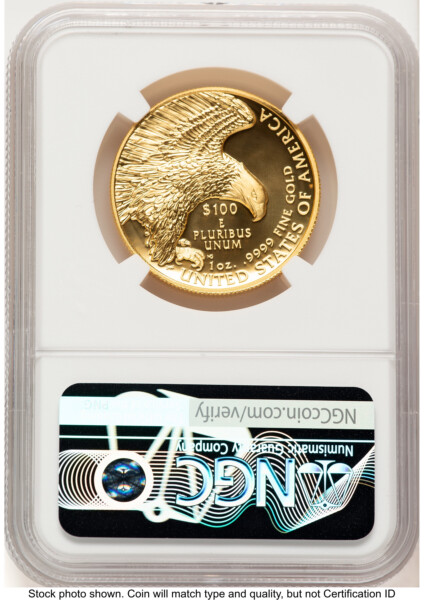 2019-W G$100 American Liberty High Relief, Enhanced Red Book 70 NGC