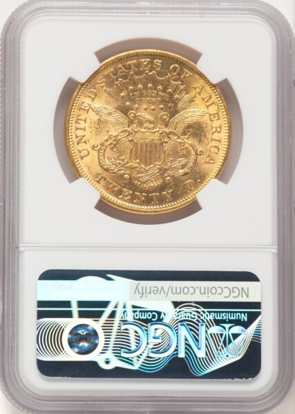 1876 $20 61 NGC
