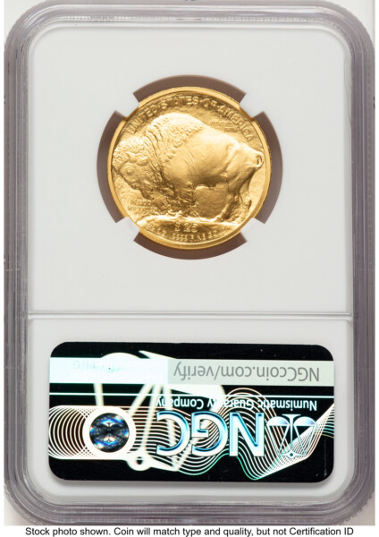 2008-W Burnished Gold Buffalo 1/2 oz Brown Label 70 NGC