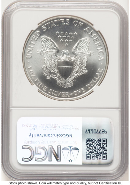 1995 Silver Eagle Mike Castle 70 NGC