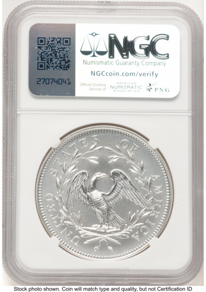 2024-(P) Silver 230th Anniversary Flowing Hair Medal Privy Mark FDI Flowing Hair Label 70 NGC