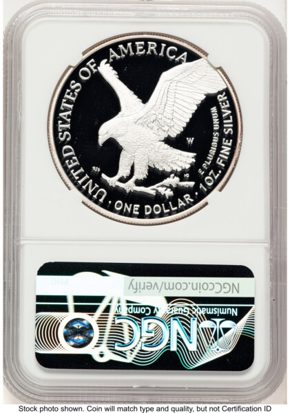 2021-W TY2 Proof Silver Eagle 1 oz Military Flag 70 NGC