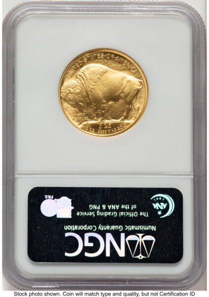 2008-W Burnished Gold Buffalo 1/2 oz ER Blue 70 NGC