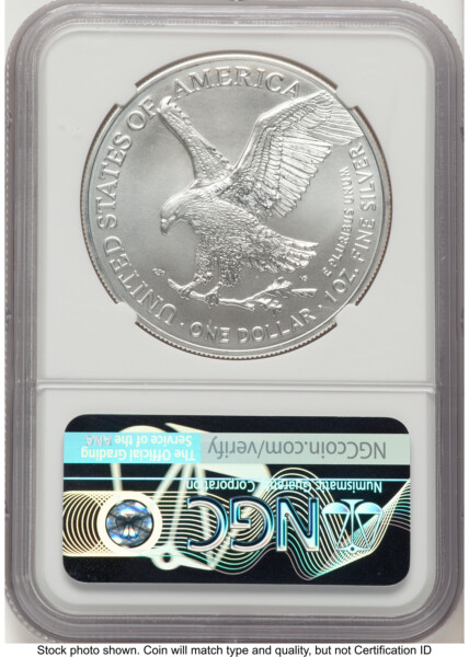 2023 Silver Eagle FDI Michael Gaudioso Eagle Art 70 NGC
