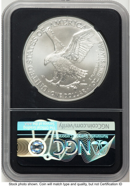 2021 Silver Eagle Type 2 FDI Michael Gaudioso Blk Core 70 NGC