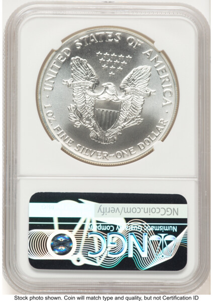 1991 Silver Eagle Brown Label 70 NGC